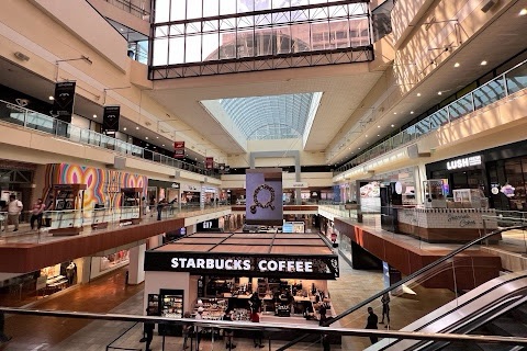 Exploring Houston, Texas